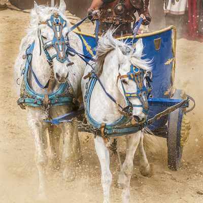 julius-caesar-lessons-gladiators-nexus-lesson-plans